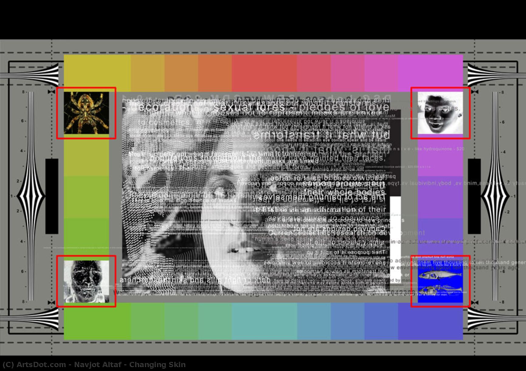 Changing Skin — Navjot Altaf