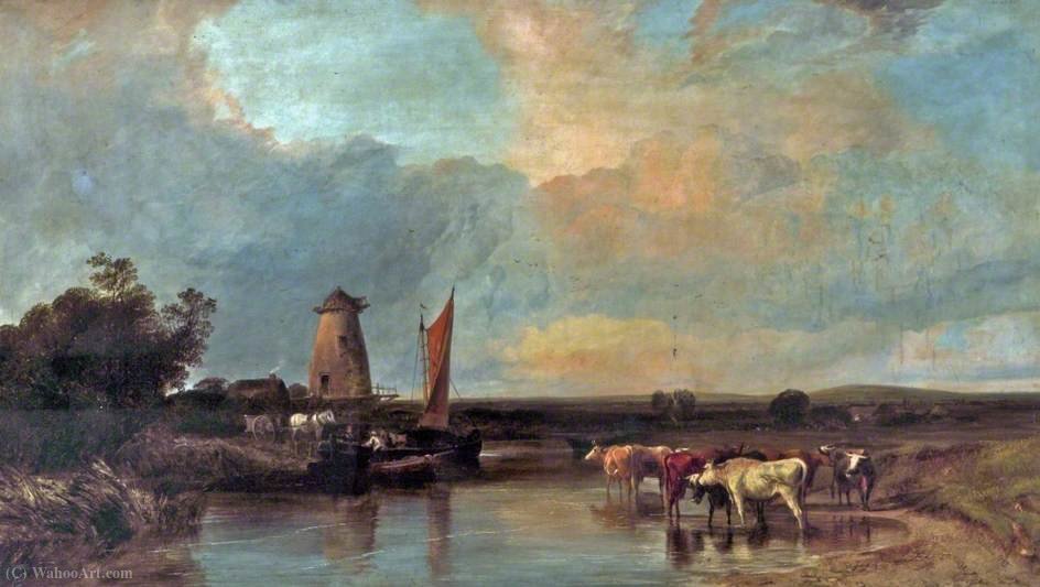 Canterbury Meadows — George Shalders