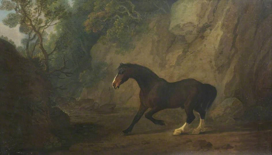Horse Frightened By A Snake — Sawrey Gilpin