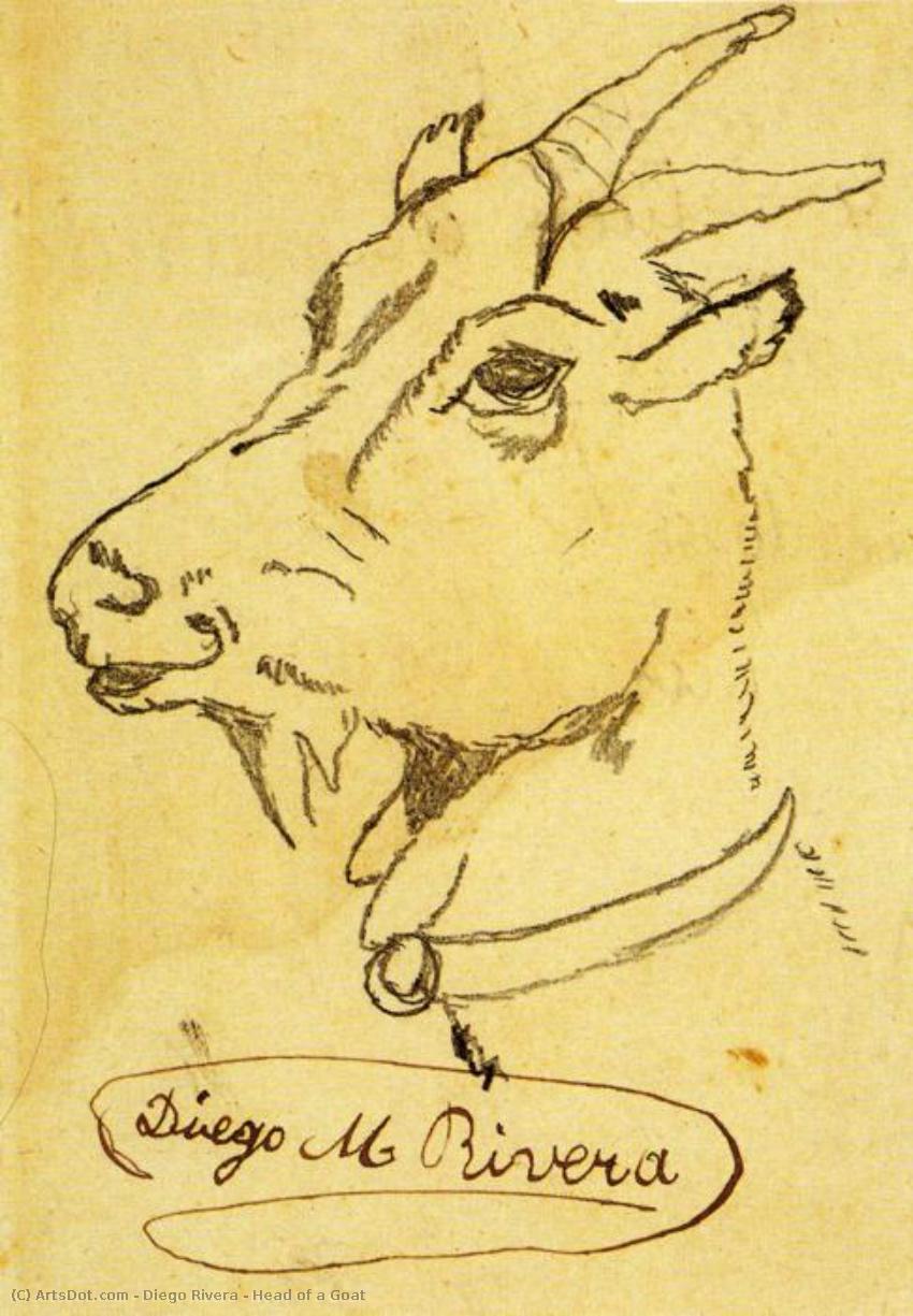 Head Of A Goat — Диего Родригес Де Сильва