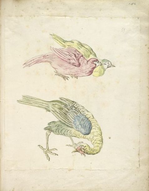Three Birds, Two Hunched Together And One Looking Back To The Left — Jean-baptiste Oudry
