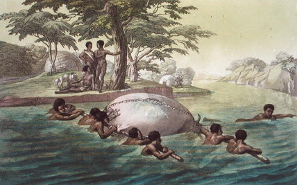 Gingri Tribesmen Crossing The River Zebee — Gallo Gallina