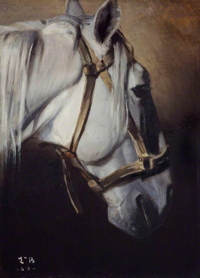 Head Of A White Horse — Léon Joseph Florentin Bonnat