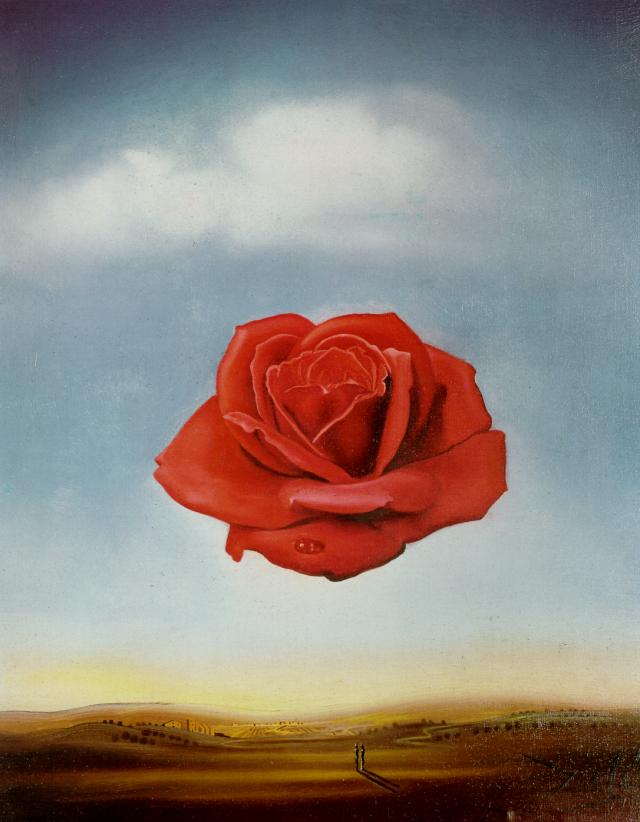 Meditative Rose — Salvador Dalí