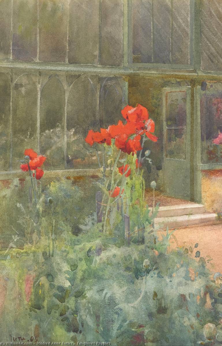 Foxgloves Poppies — Mildred Anne Butler