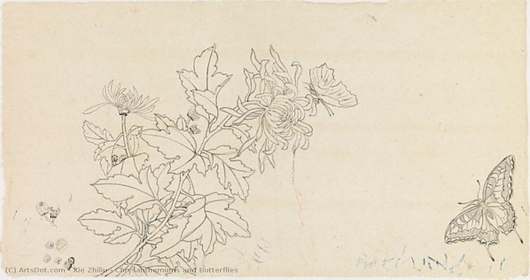Chrysanthemums And Butterflies — Xie Zhiliu