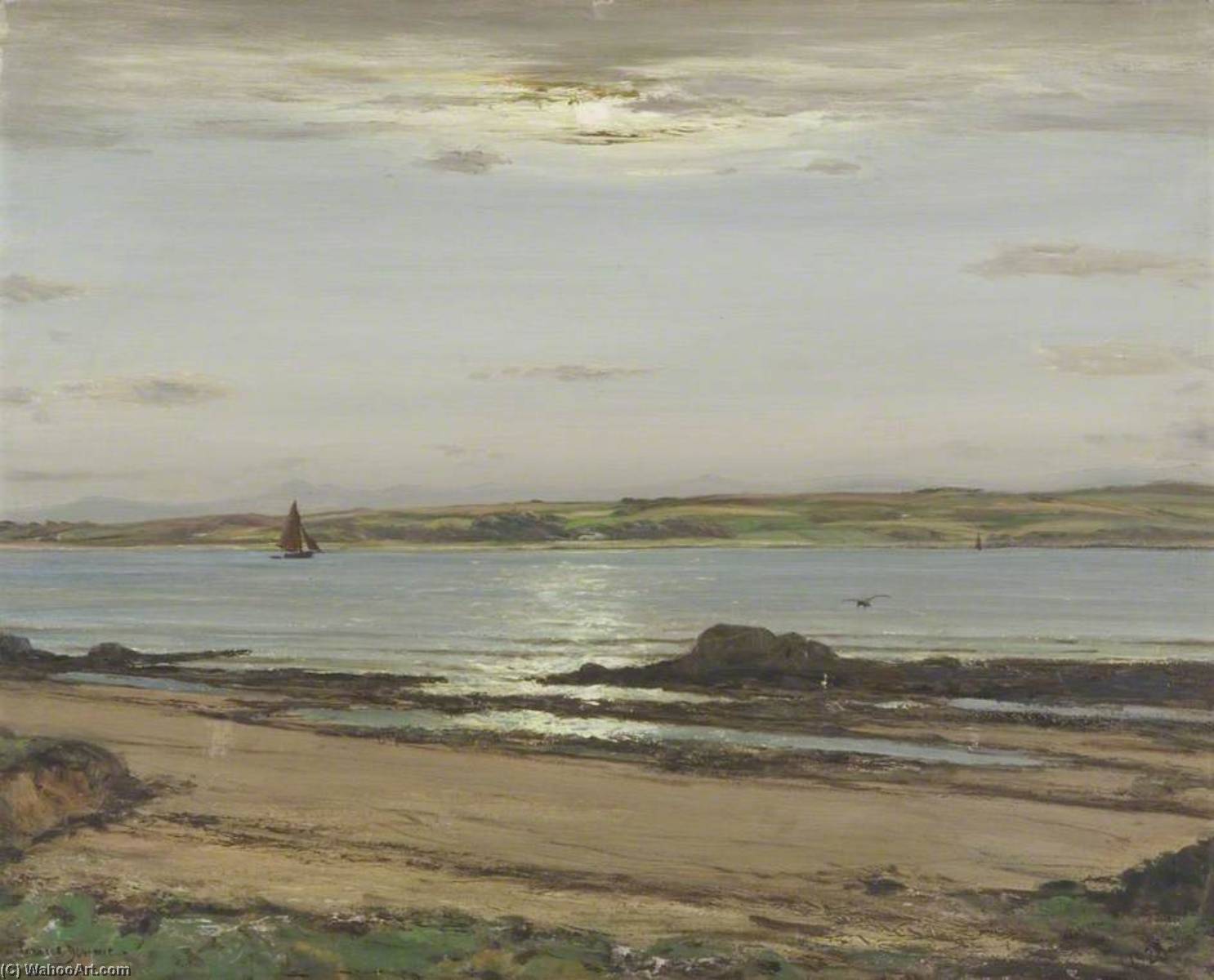 Summer Moonlight, Firth Of Clyde — Patrick Downie