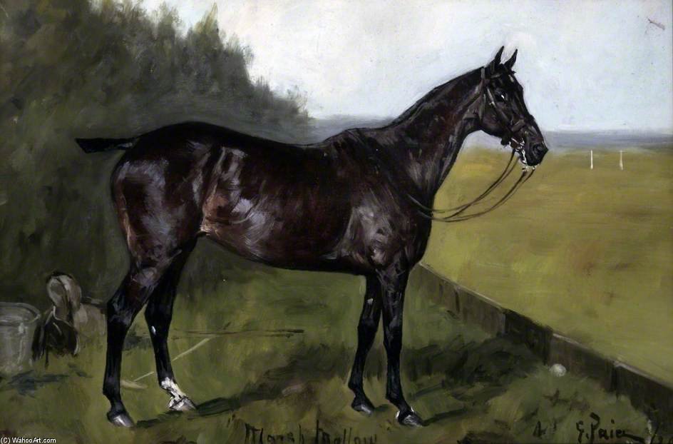 Marsh Mallow — George Paice