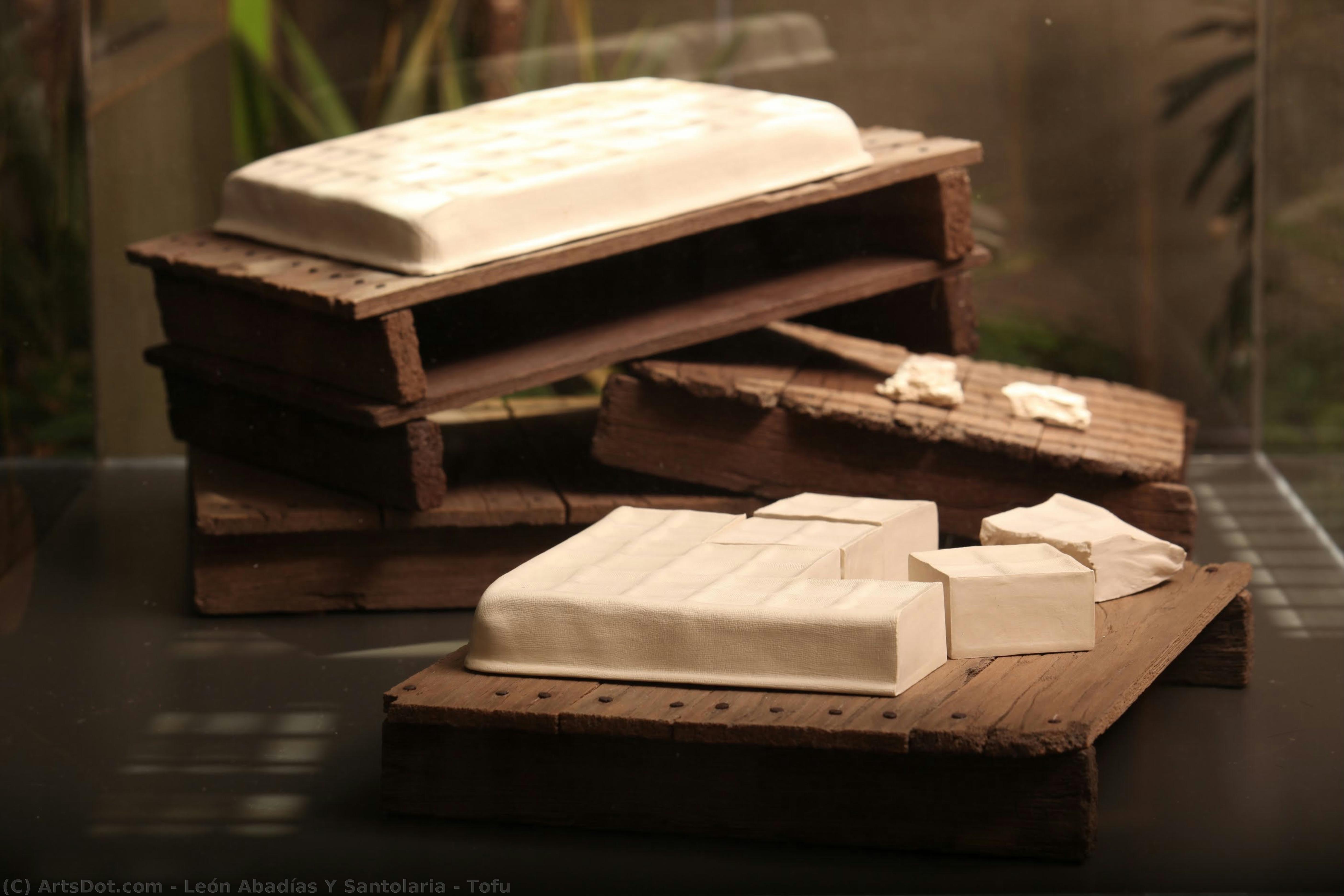 Tofu — León Abadías Y Santolaria