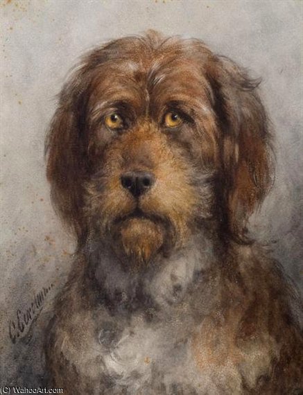 Portrait Of A Bouvier De Flandres Dog From The Le Fevre De Montigny Family — Oto Erelman