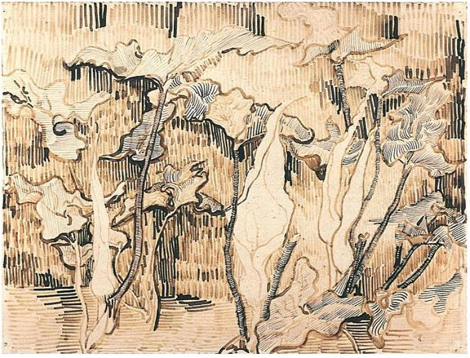 Arums — Vincent Willem Van Gogh