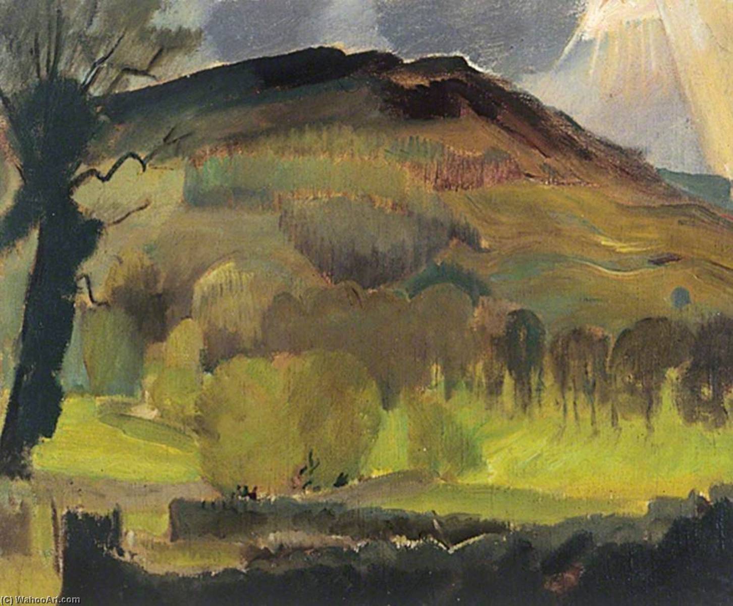 Burnsall Fell — Реймонд Джеймс Коксон