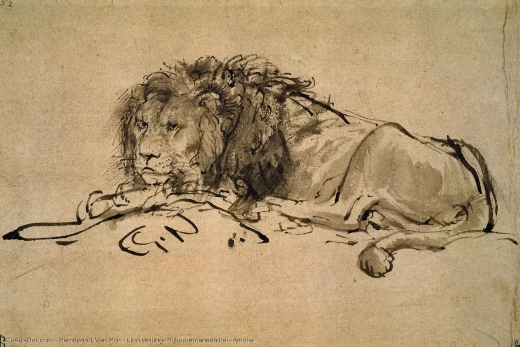 Lion Resting, Rijksprentenkabinet, Amster — Rembrandt Van Rijn