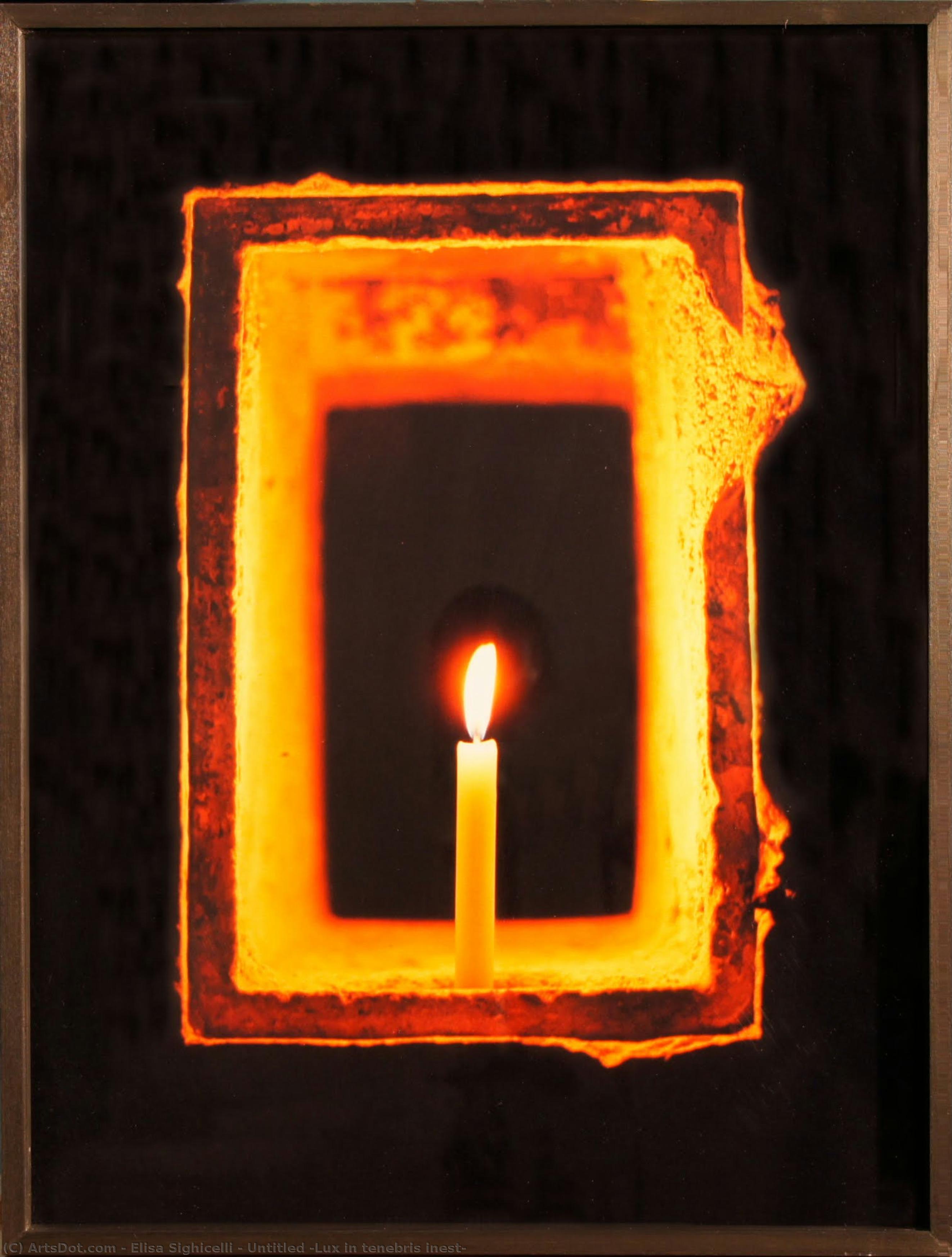 Untitled (lux In Tenebris Inest) — Elisa Sighicelli