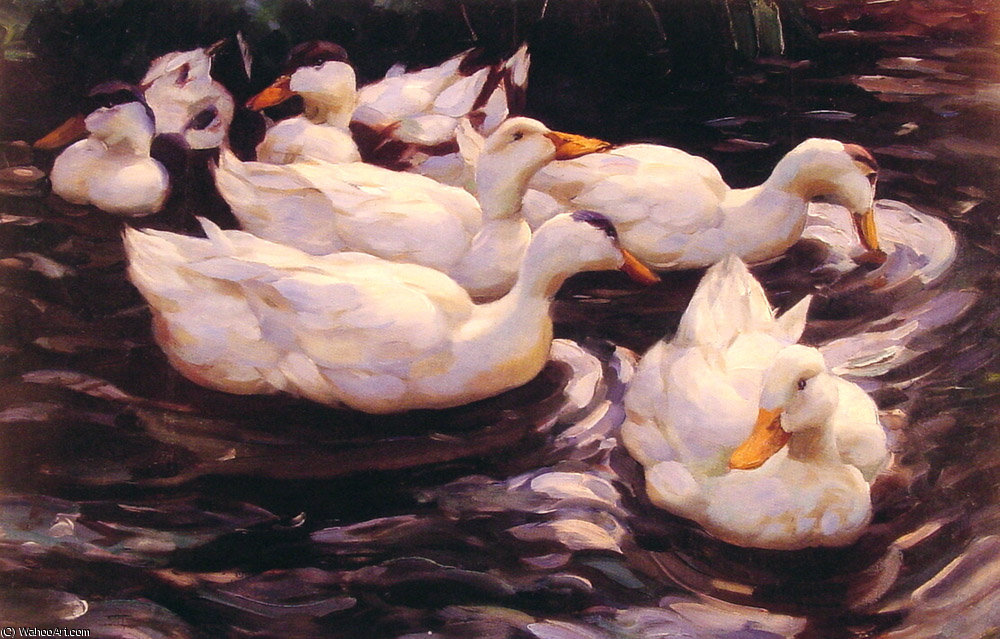 Six Ducks In The Pond — Alexander Max Koeste