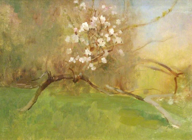 Cherry Blossom — Benjamin Hojton