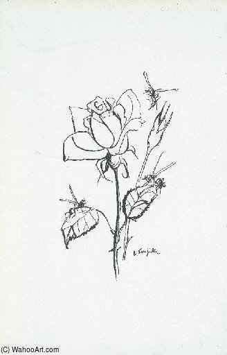 Rose — Léonard Tsuguharu Foujita