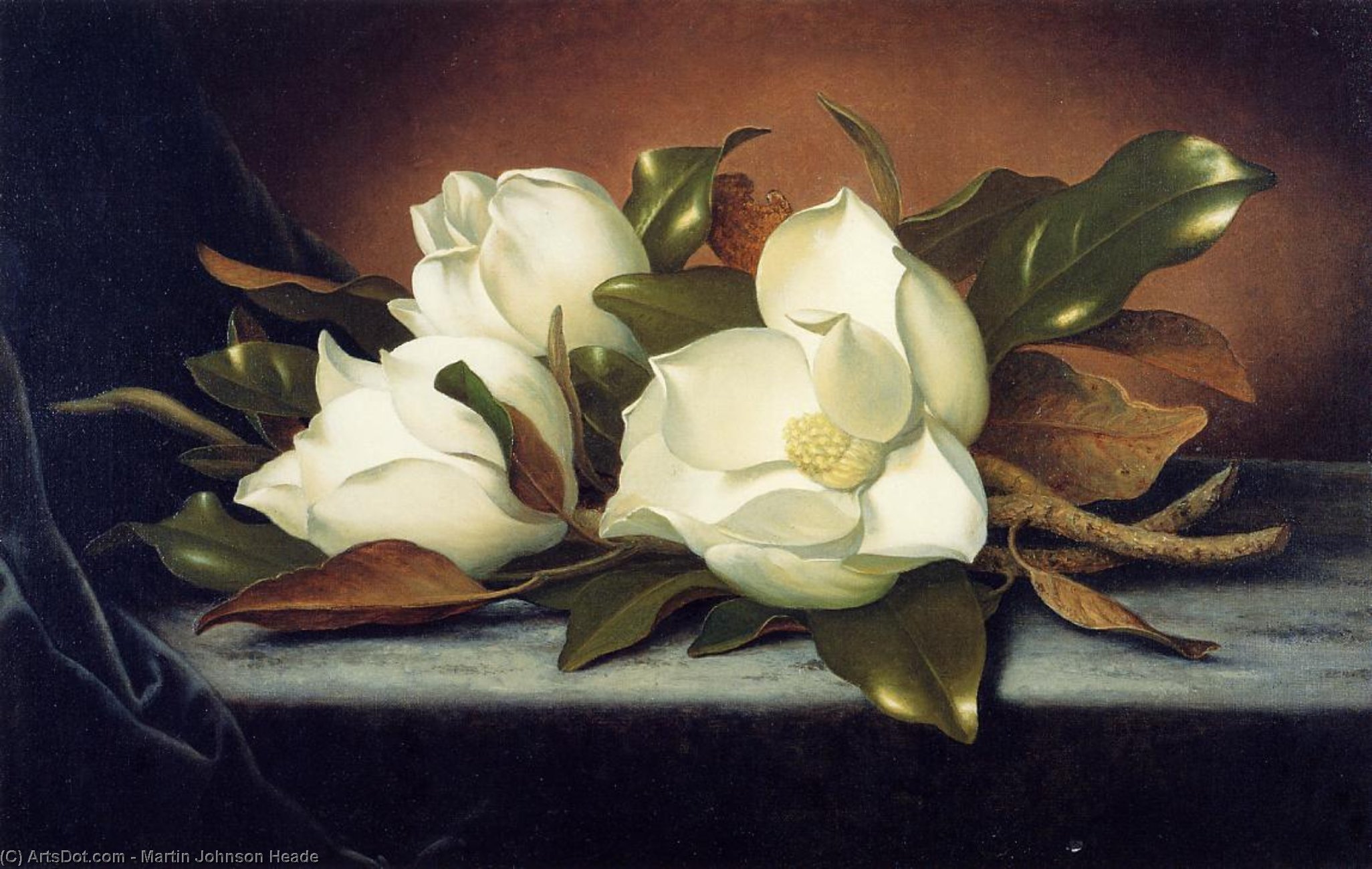 Giant Magnolias — Мартин Џонсон Хиде