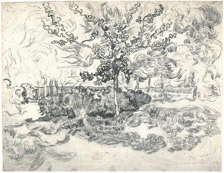 Garden Of The Asylum — Vincent Van Gog