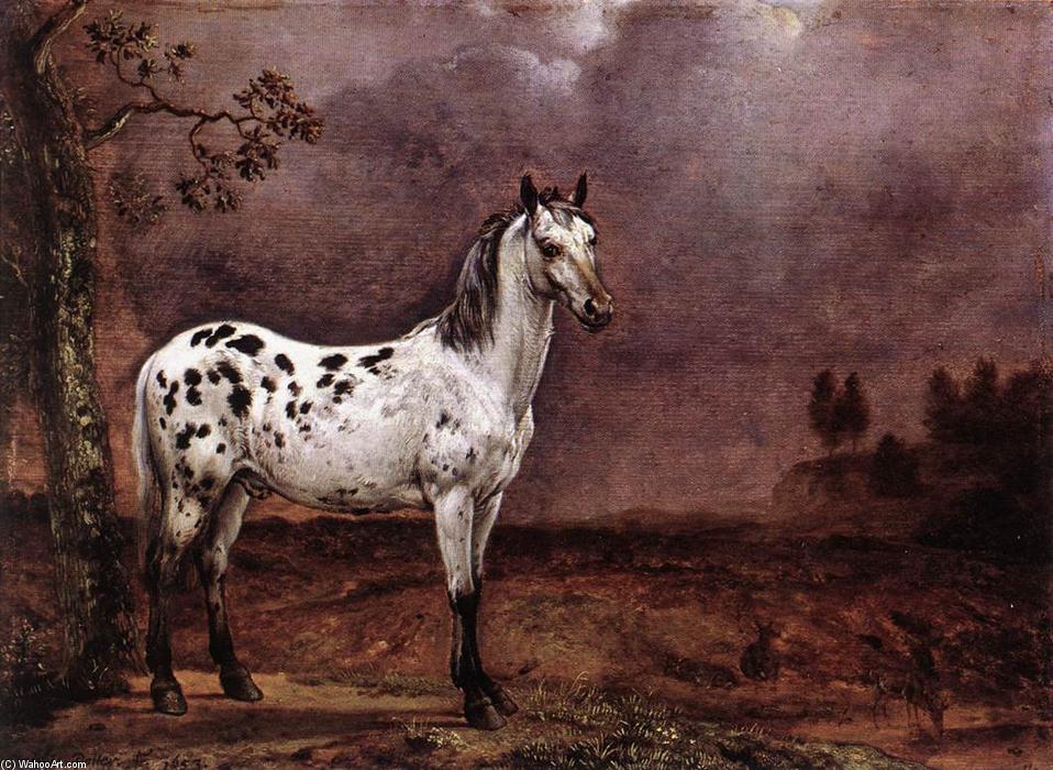 The Spotted Horse — Паулюс Поттер