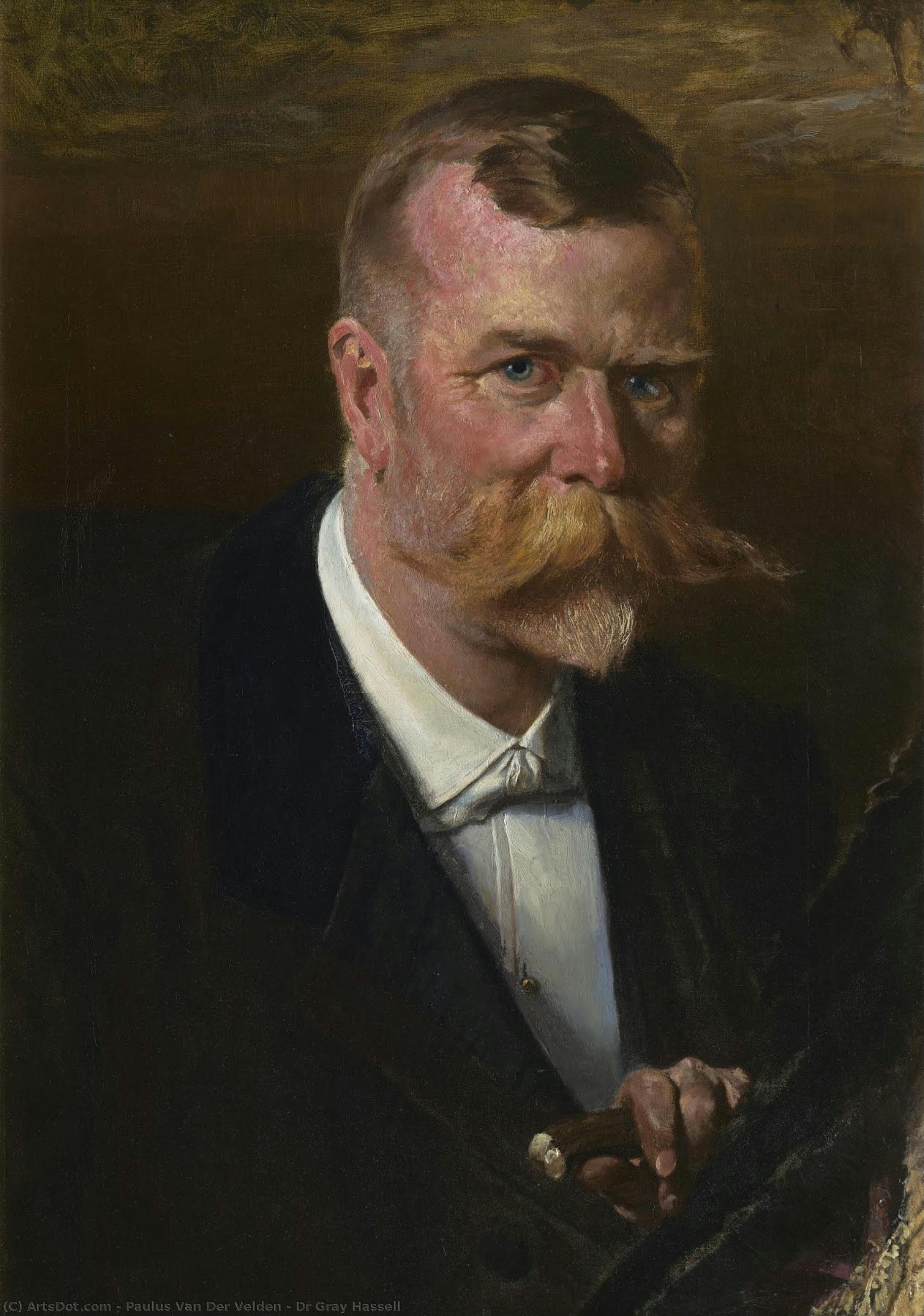 Dr Gray Hassell — Paulus Van Der Velden