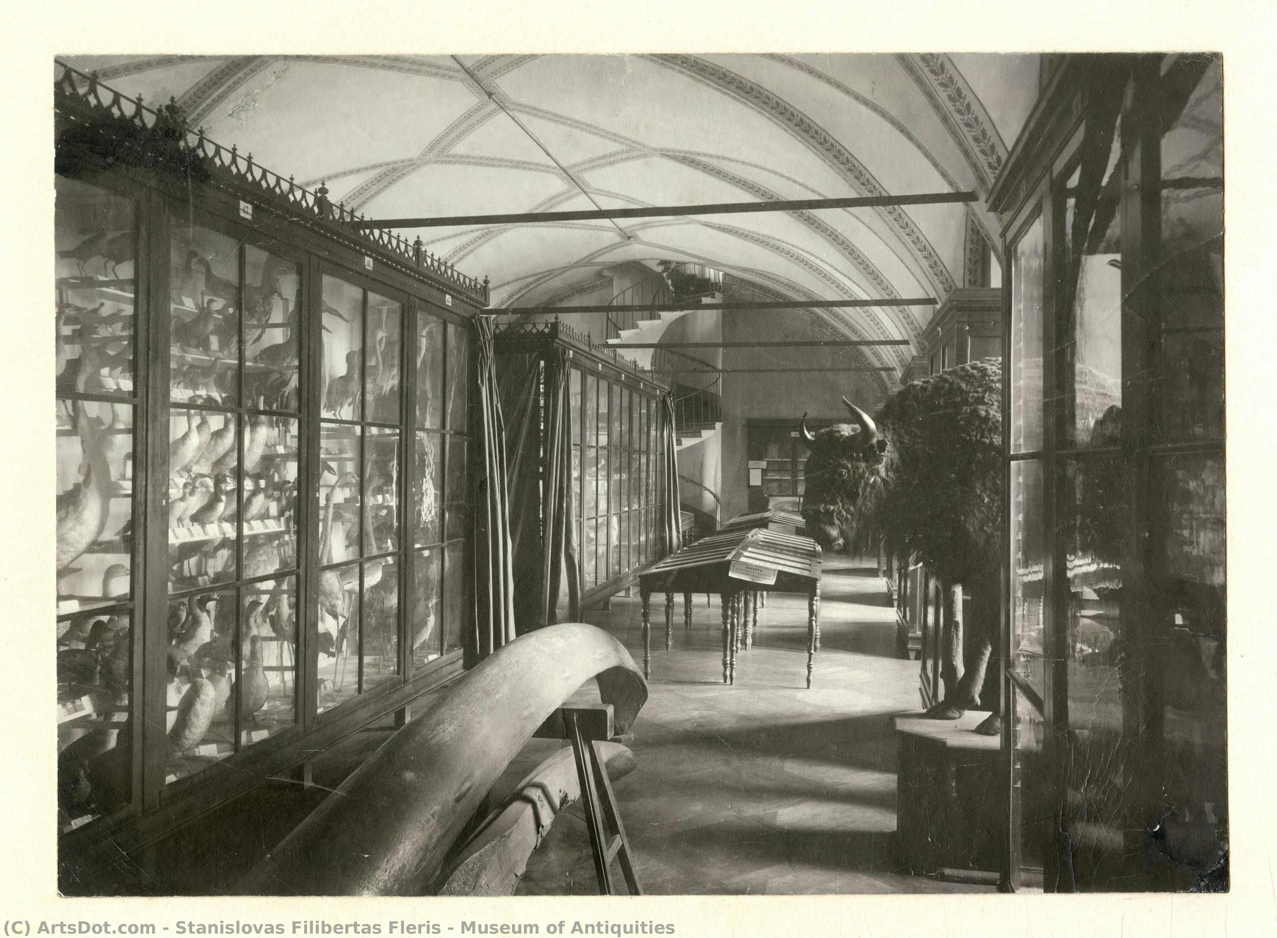 Museum Of Antiquities — Stanislovas Filibertas Fleris