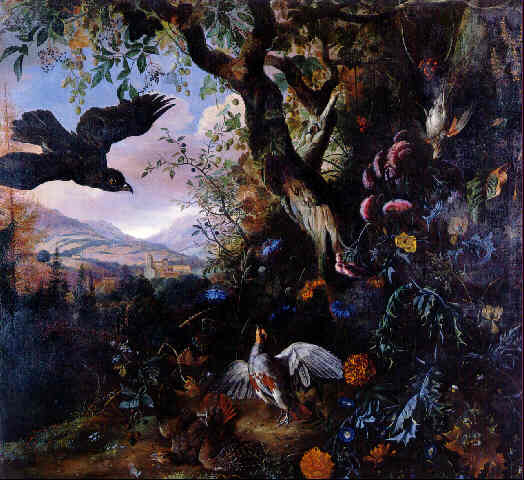 Landscape With Drugged Birds In The Flowers And Underbrush Of A Wood — Matthias Withoos (calzetta Bianca)