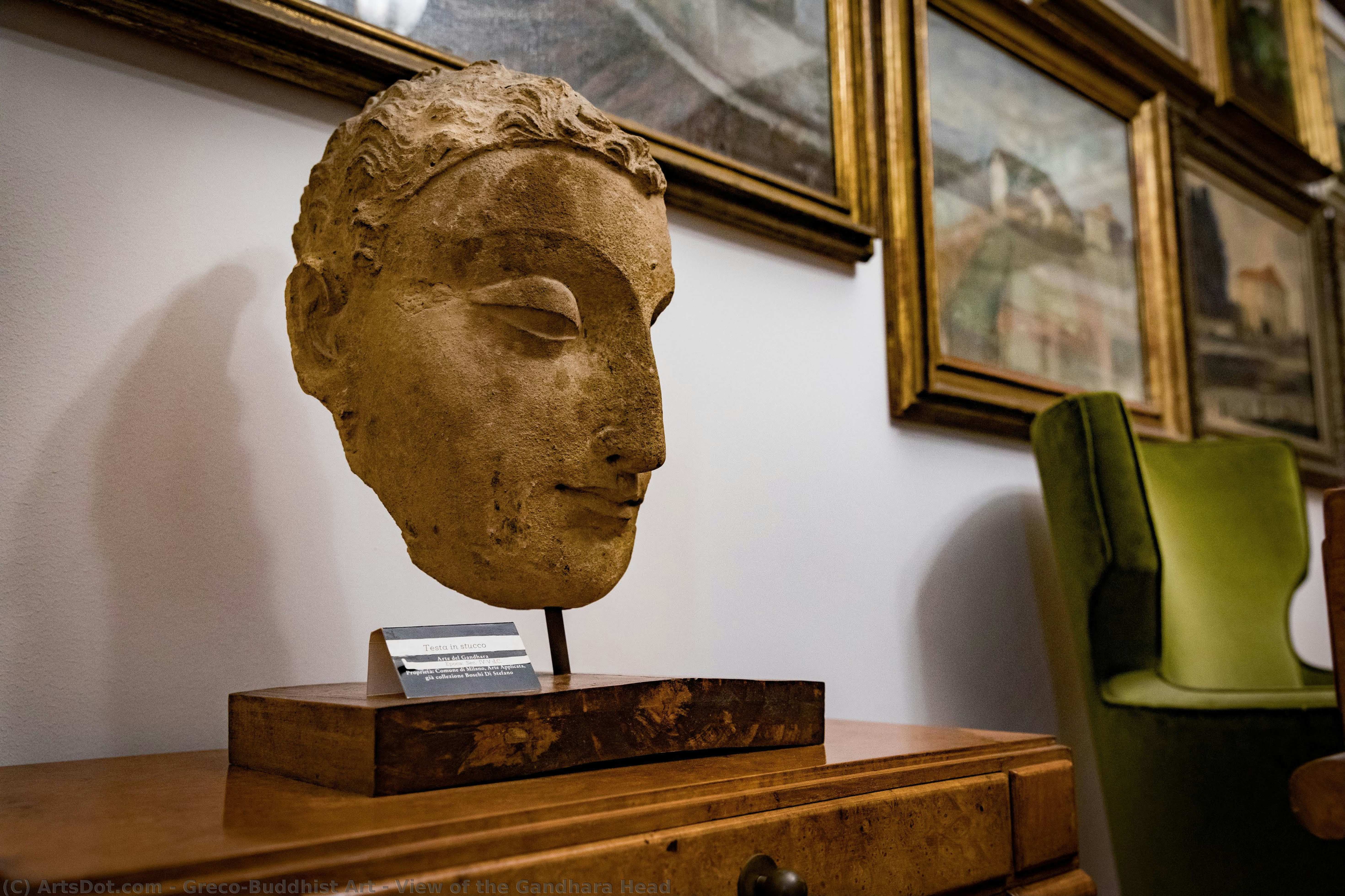 View Of The Gandhara Head — Greco-buddhist Art