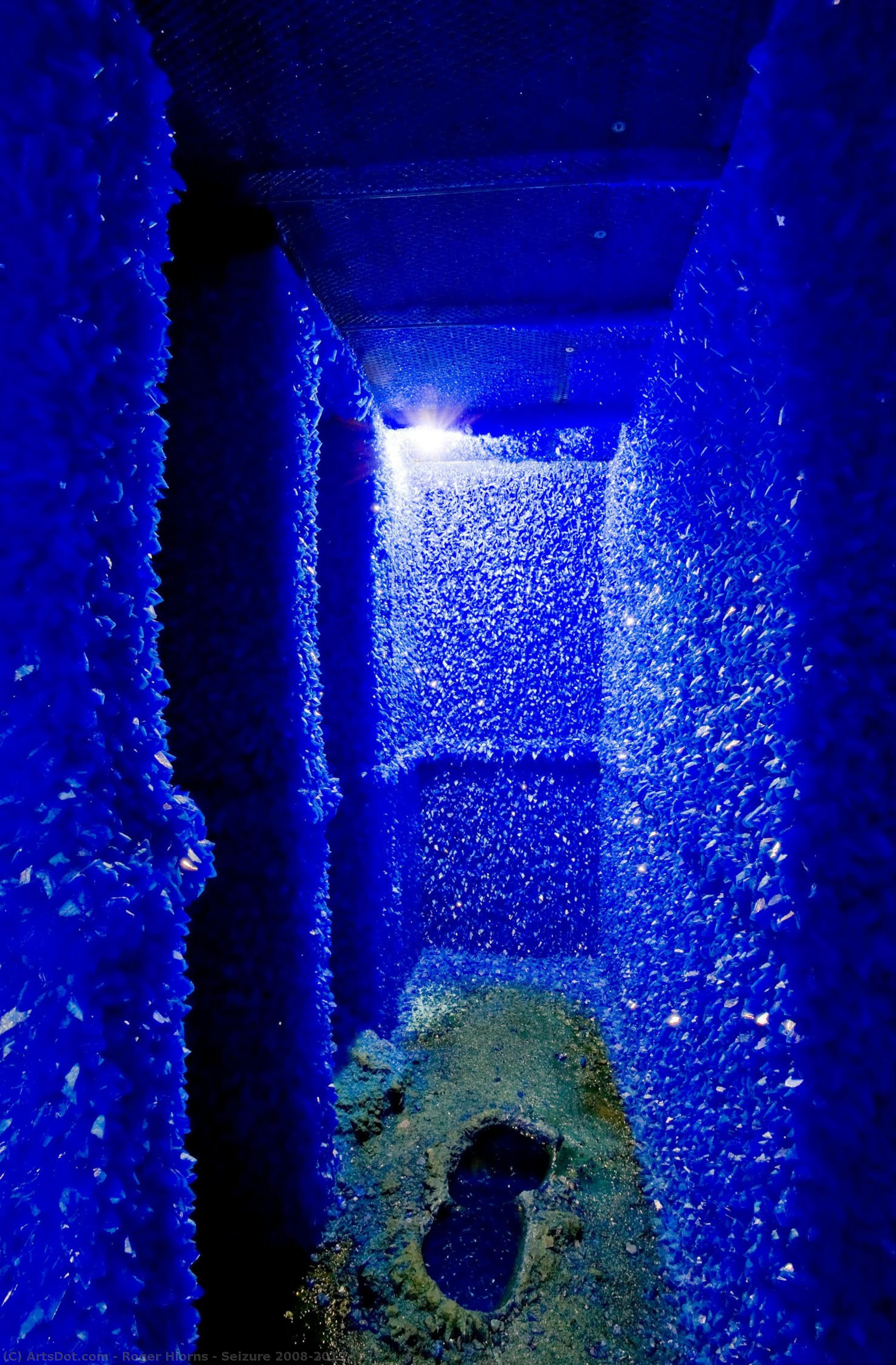Seizure 2008/2013 — Roger Hiorns