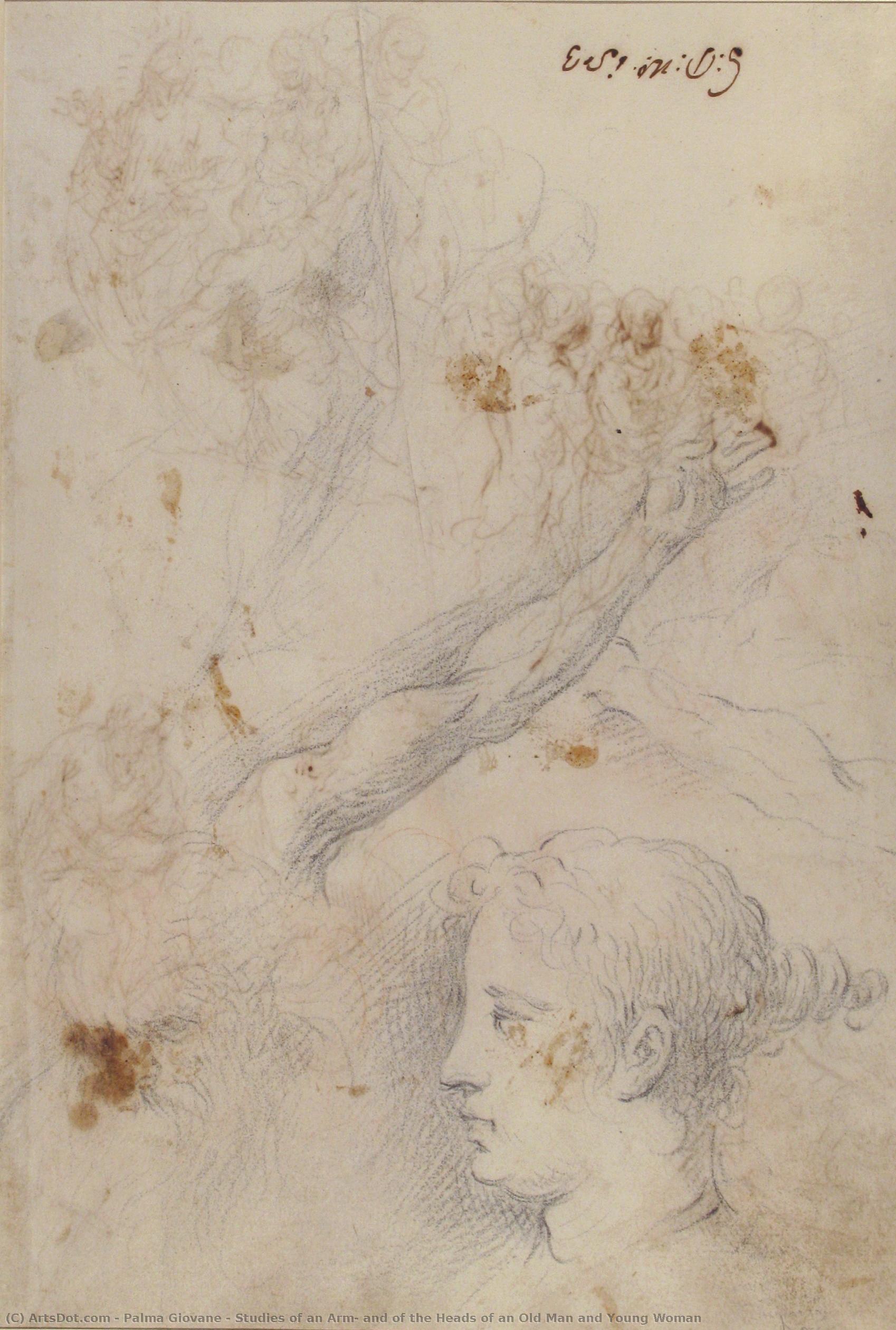 Studies Of An Arm, And Of The Heads Of An Old Man And Young Woman — Jacopo Palma Il Giovane