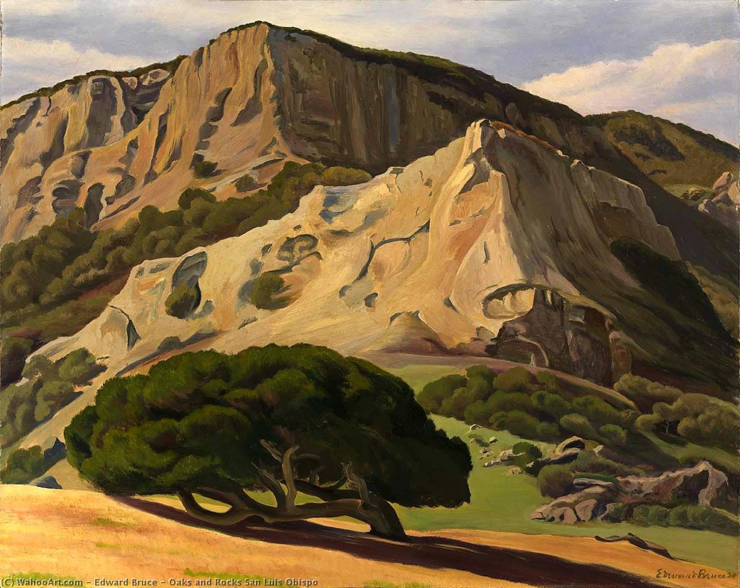 Oaks And Rocks San Luis Obispo — Edward Bruce