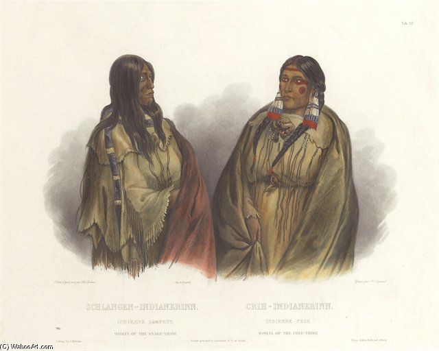 Women Of The Snake- Tribe — Karl Bodmer