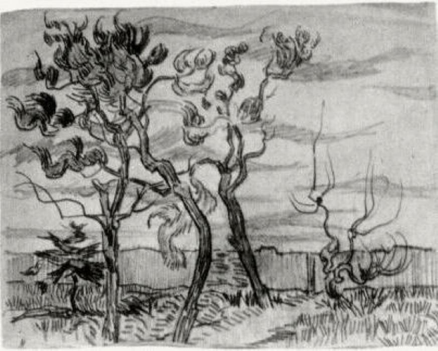 Pinien Bäume Vor Der Mauer Des Asyls — Vincent Willem Van Gogh