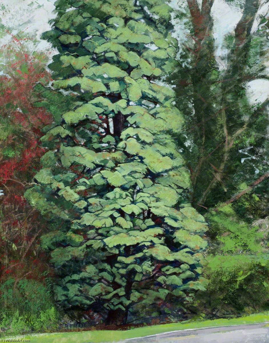Cupressus — Alan Bennett