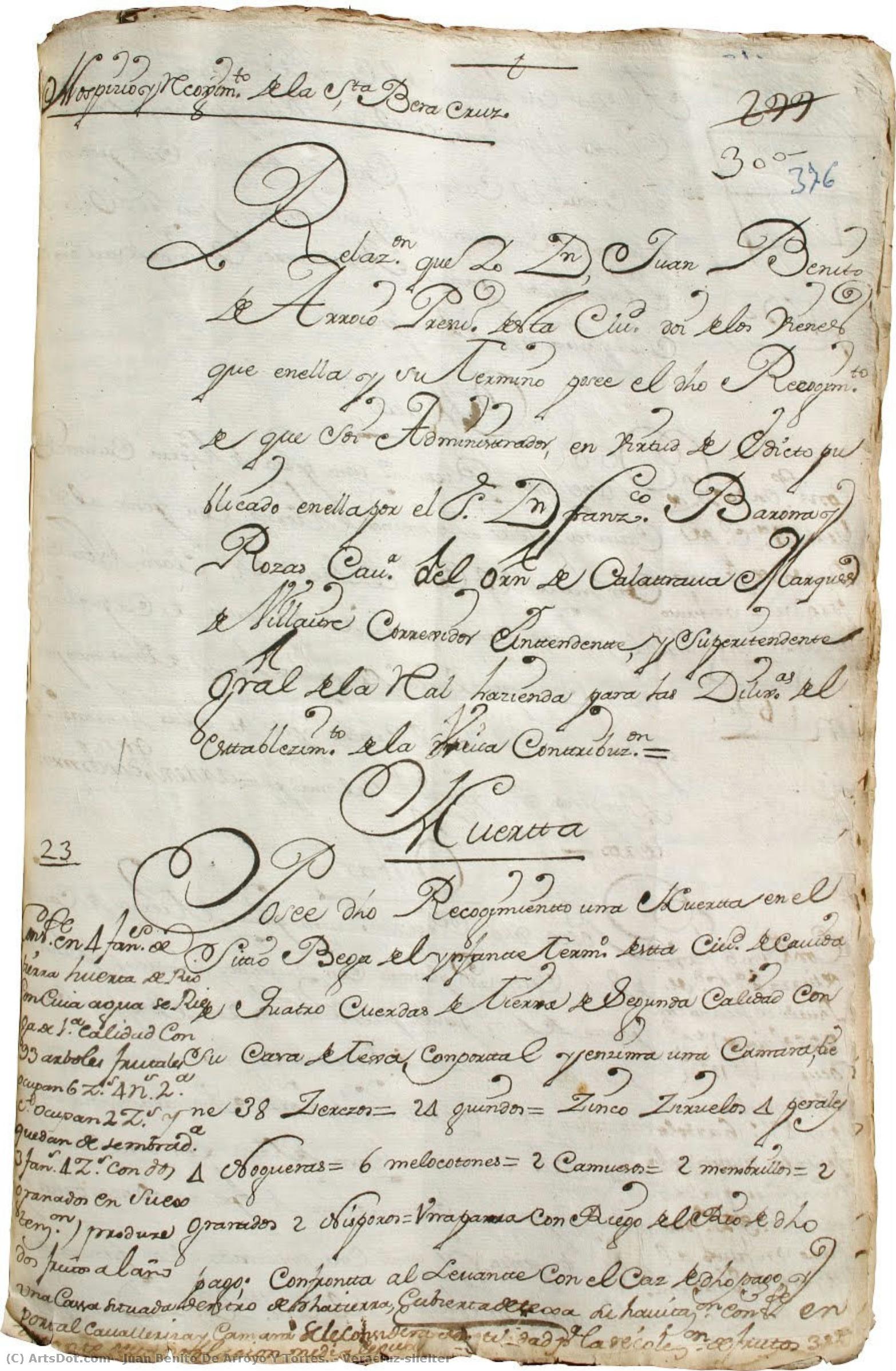 Veracruz´shelter — Juan Benito De Arroyo Y Torres.