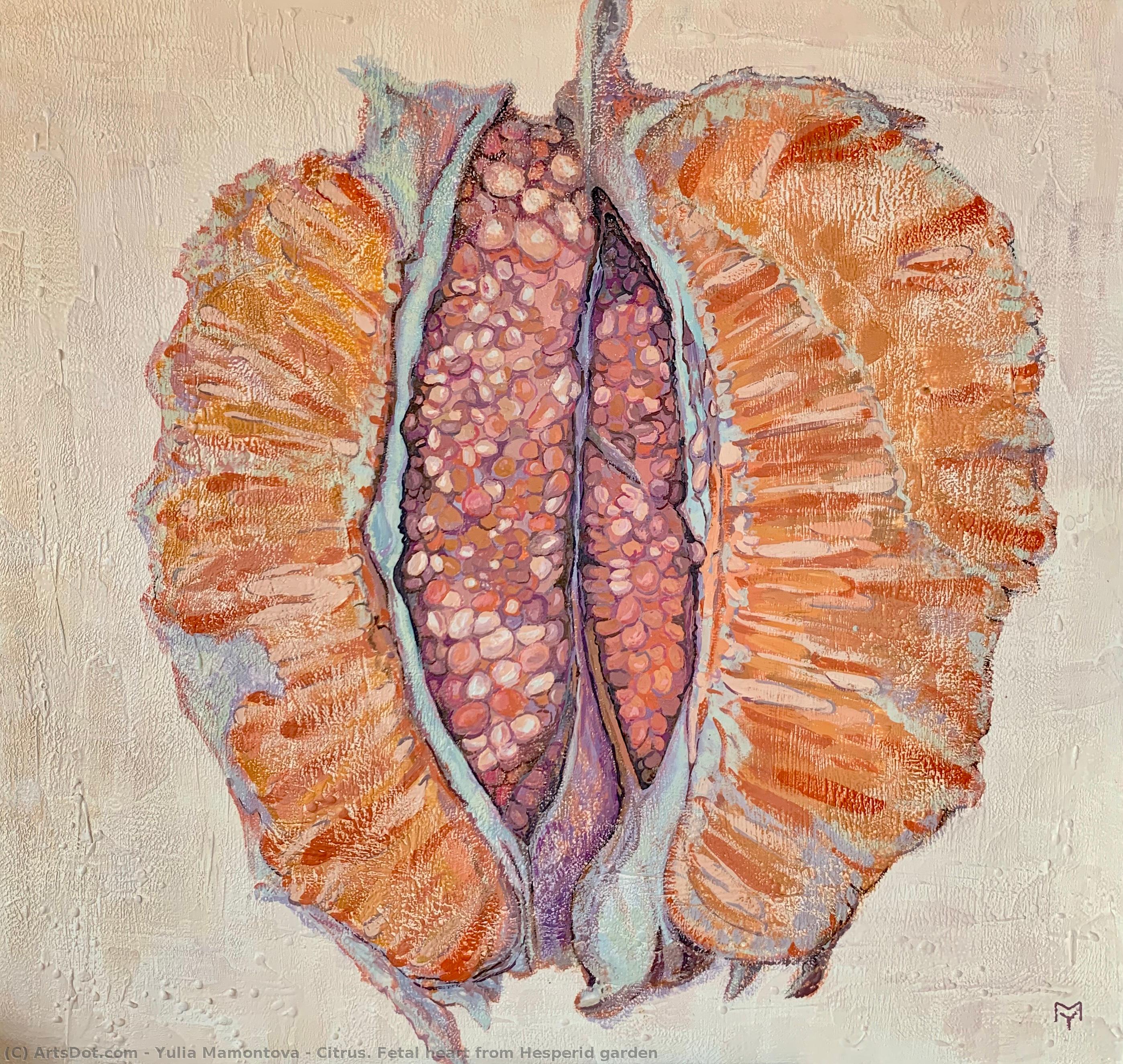 Citrus. Fetal Heart From Hesperid Garden — Yulia Mamontova