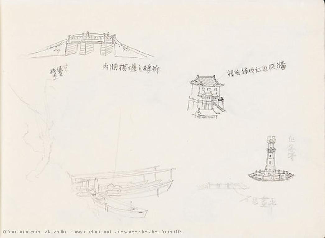 Flower, Plant And Landscape Sketches From Life — Xie Zhiliu