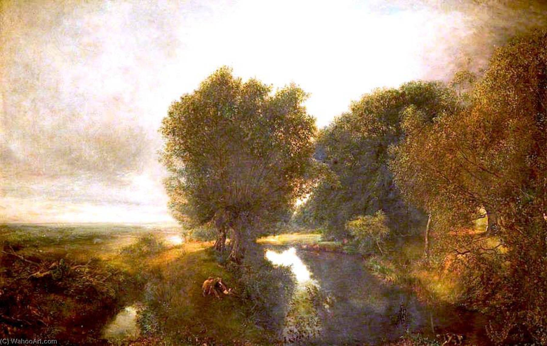 Nature's Mirror — Henry Mark Anthony
