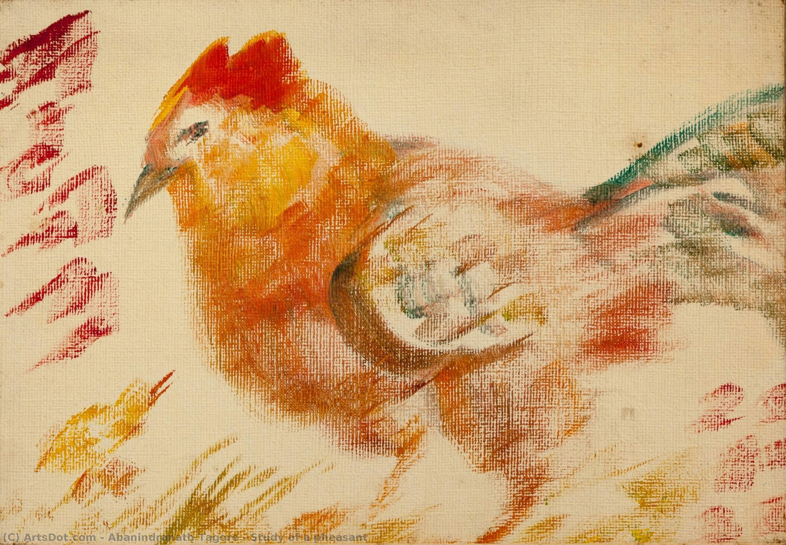 Study Of A Pheasant — Абаниндранатх Тагор