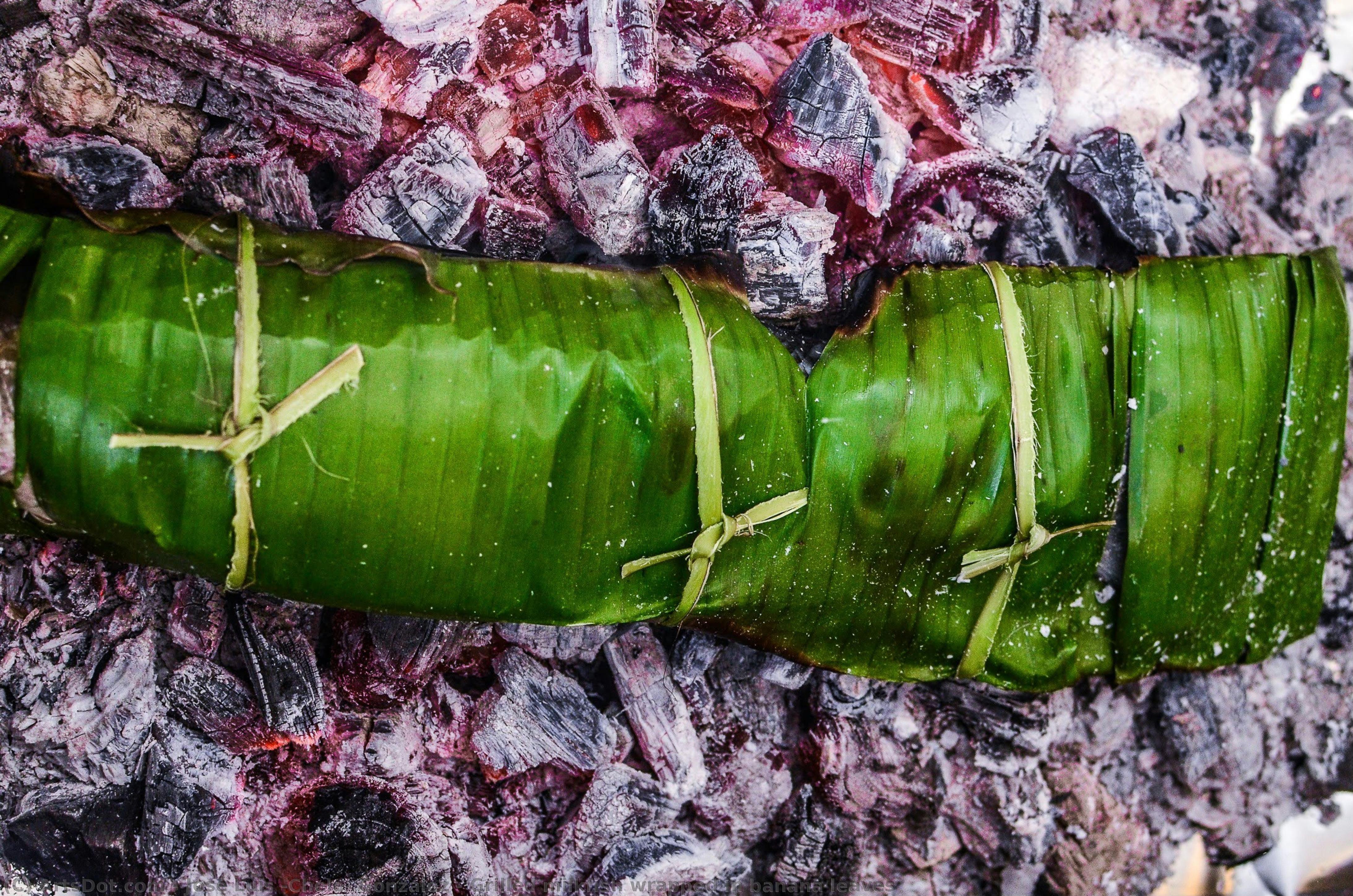 Grilled Milkfish Wrapped In Banana Leaves — José Luis "chele" Gonzalez