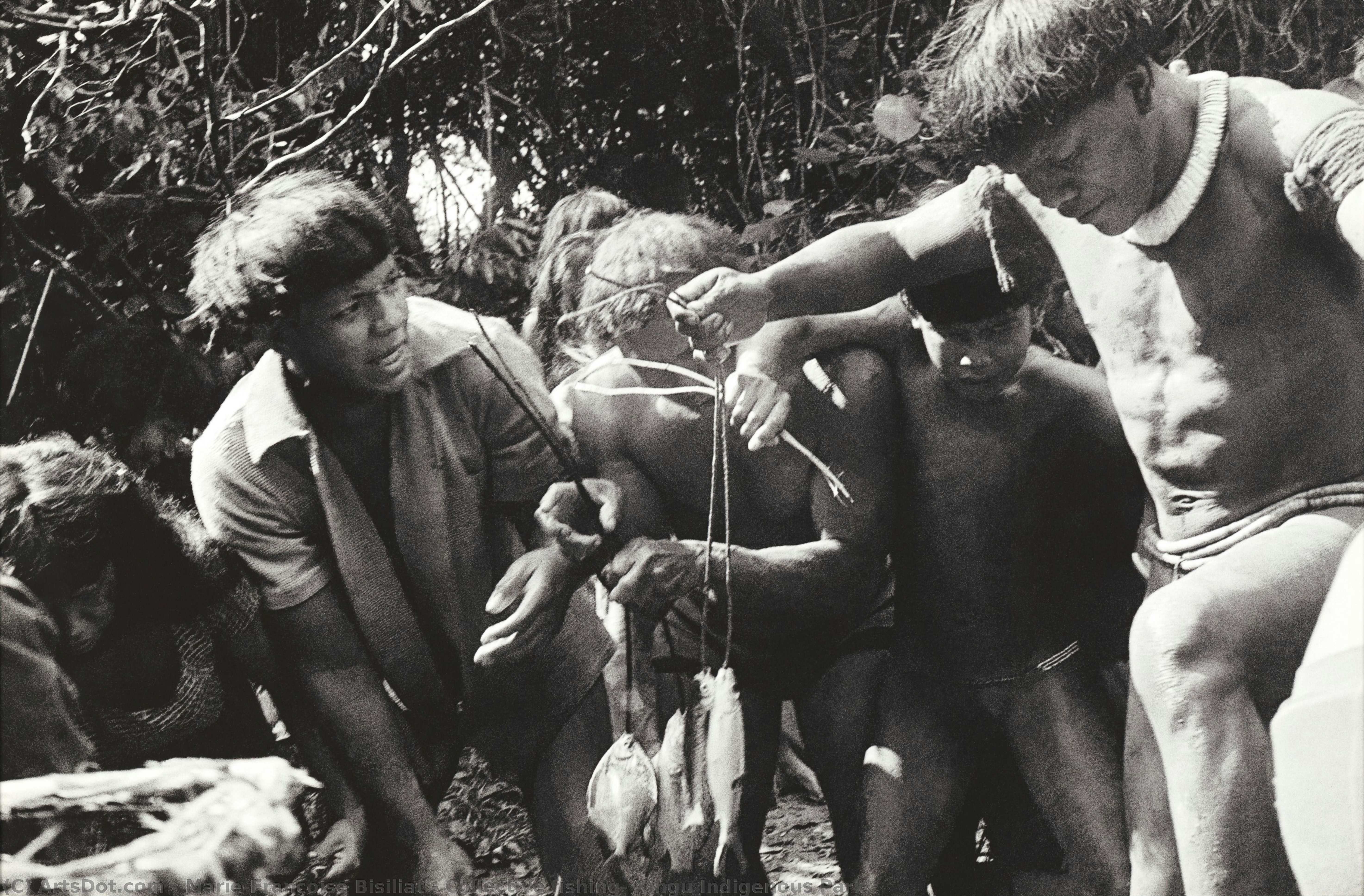 Collective Fishing, Xingu Indigenous Park — Marie-françoise Bisiliat