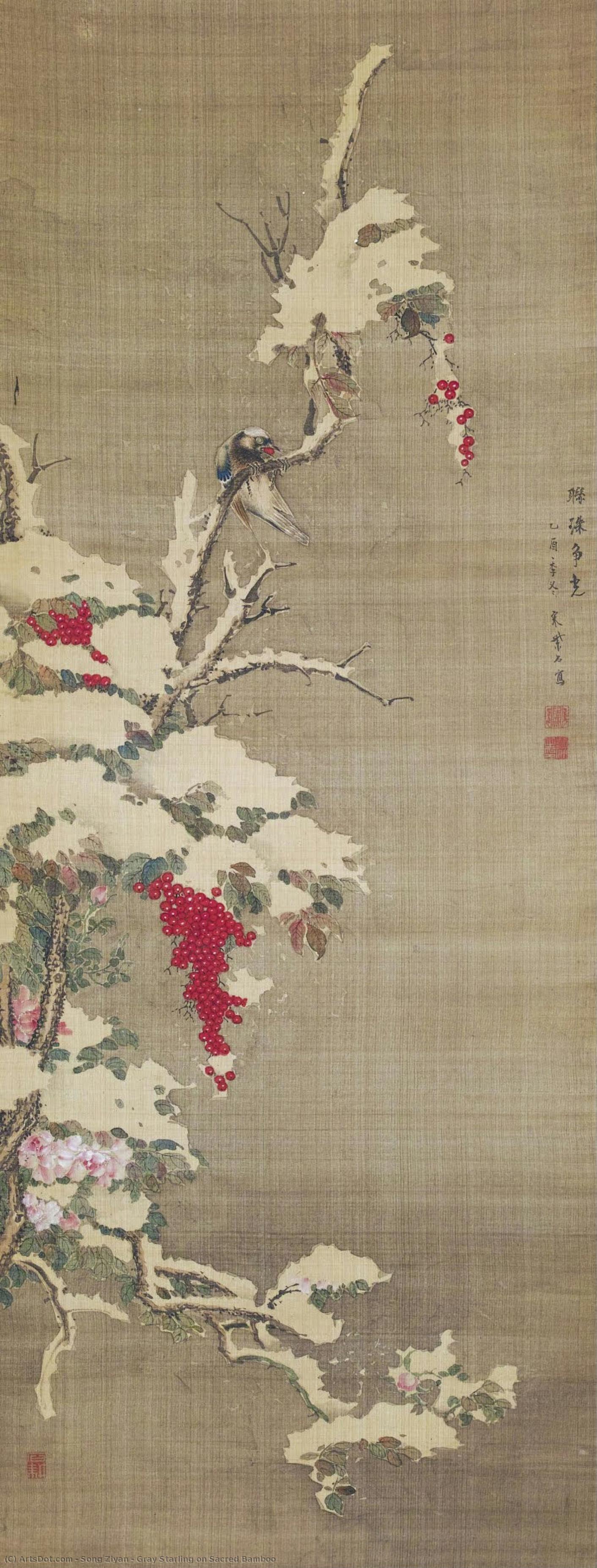 Gray Starling On Sacred Bamboo — Song Ziyan