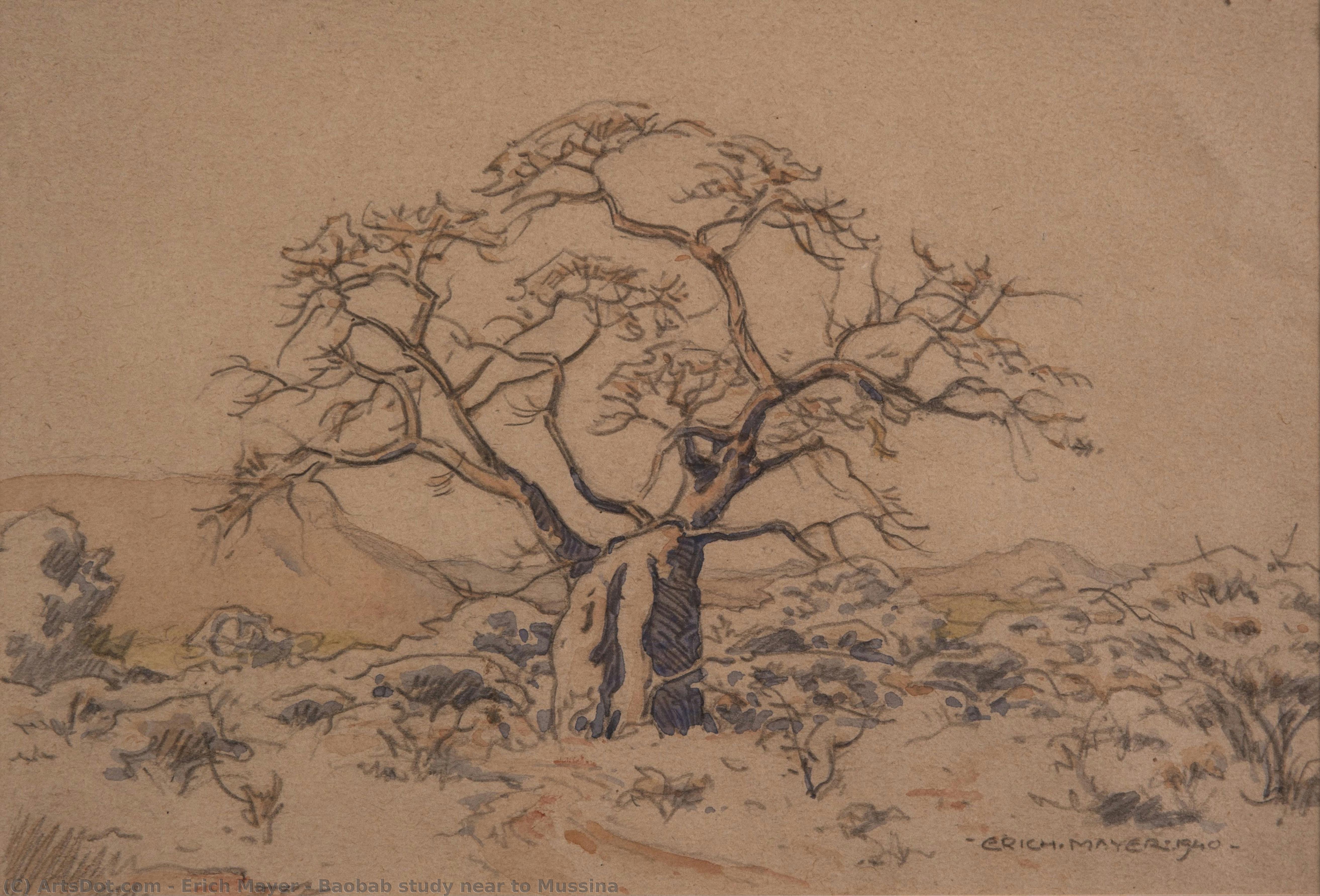 Baobab Study Near To Mussina — Erich Mayer