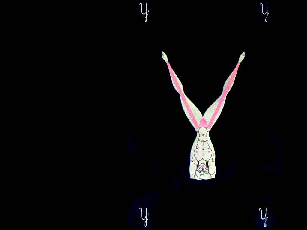 Alphabet Y — Erté