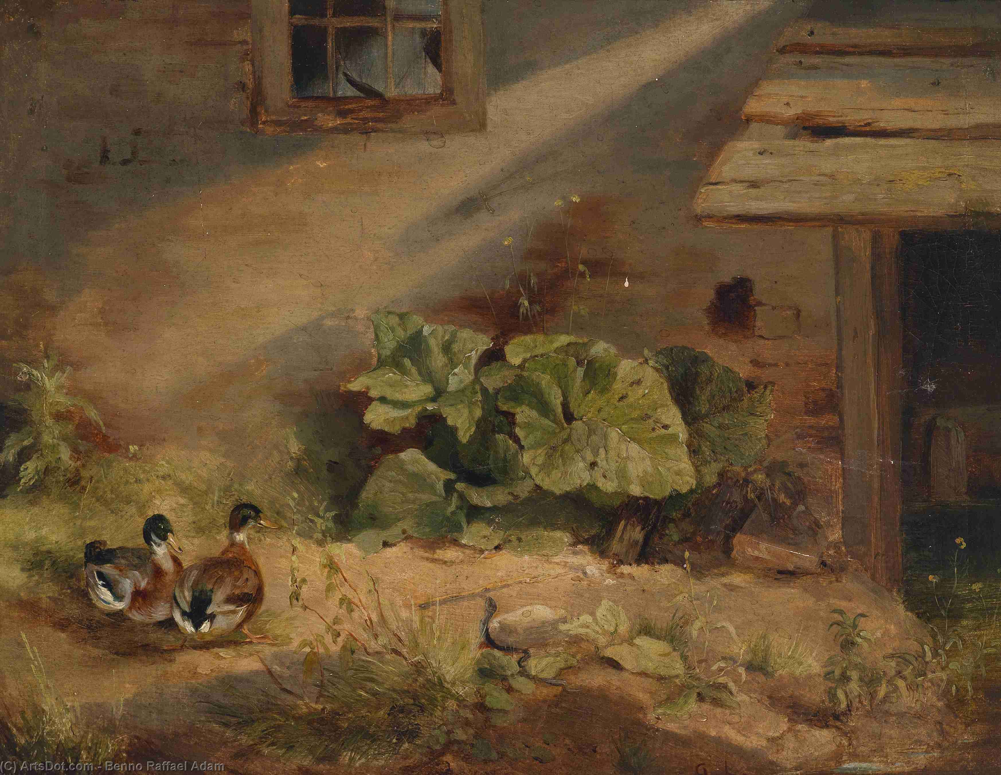 Enten Am Hof — Benno Raffael Adam