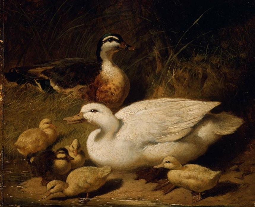 Ducks And Ducklings — ジョン・フレデリック・ヘリング・シニア