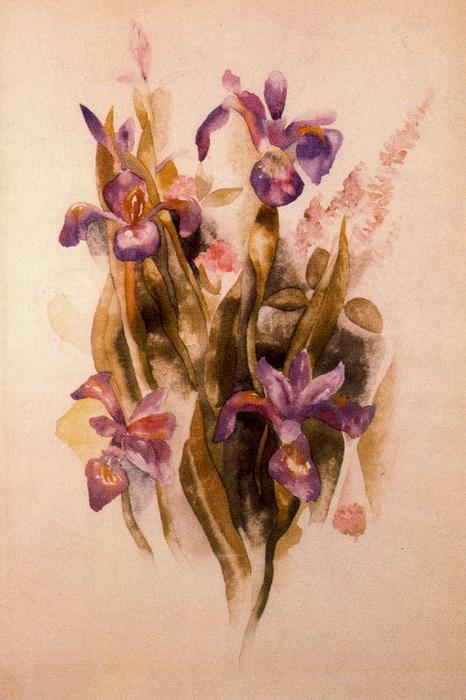 Delphinium — Charles Demuth