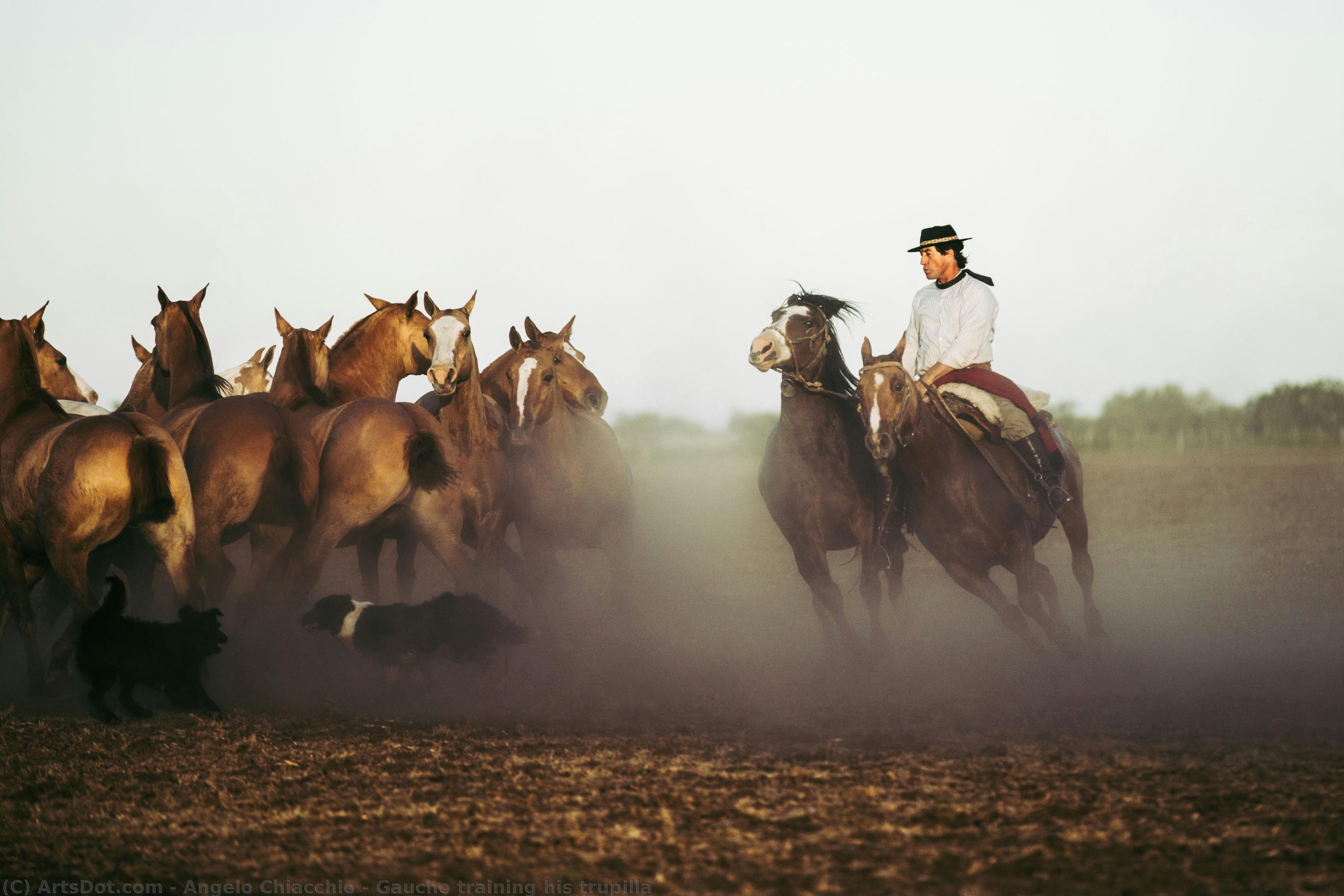 Gaucho Training His Trupilla — Анджело Кьяккио
