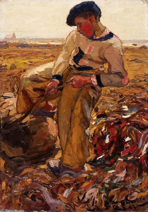 Auernjunge Auf Dem Feld — Hans Von Bartels
