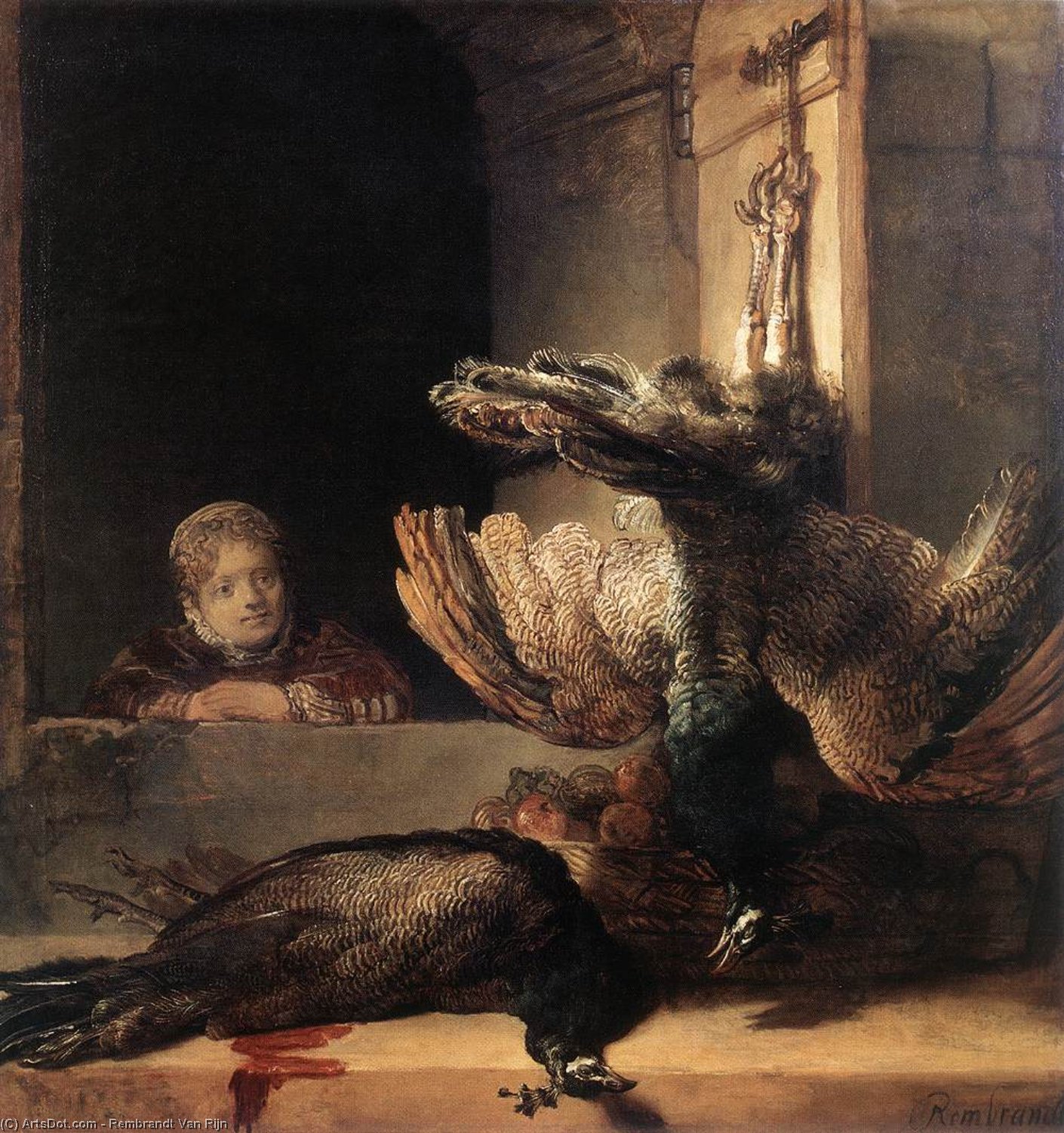 Totentanz Mit Zwei Tote Pfauen Und Einem Mädchen — Rembrandt Van Rijn